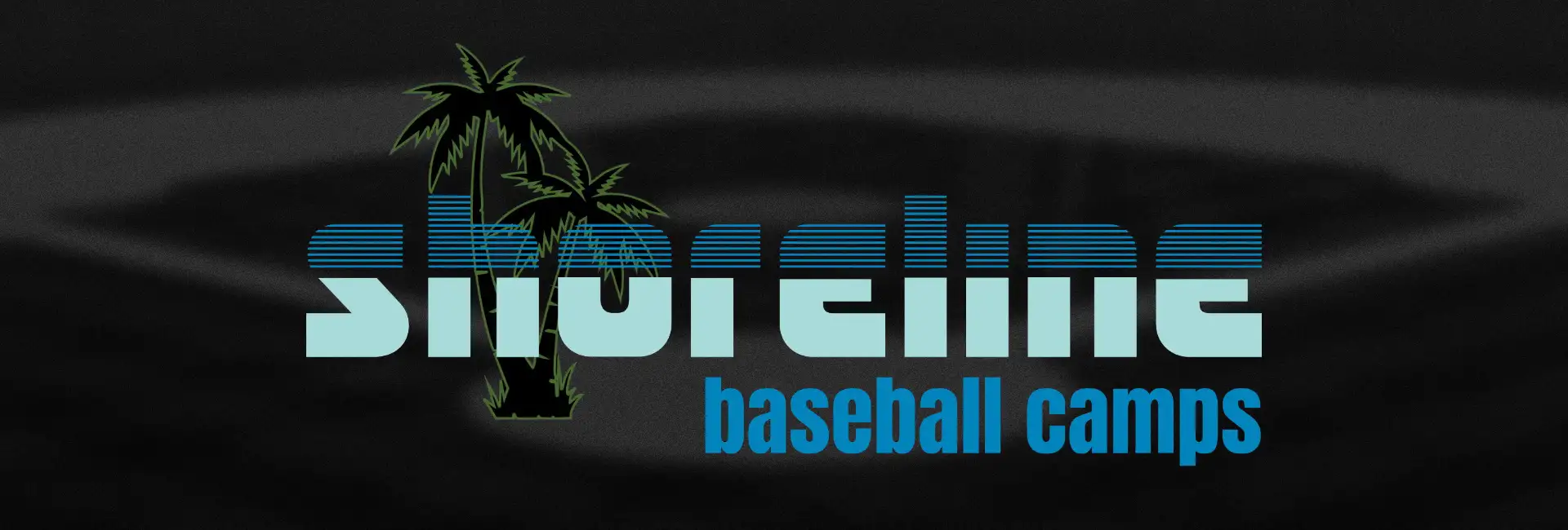 Shoreline Baseball Camps